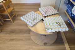 IMG-20251027-WA0015