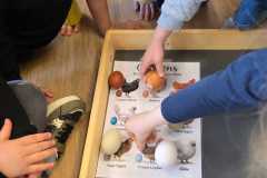 IMG-20260310-WA0013