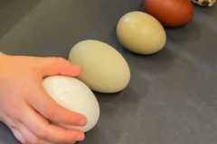 IMG-20260310-WA0015