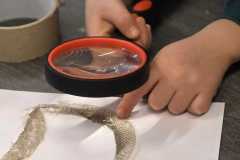 IMG-20260310-WA0026