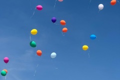 IMG-20260523-WA0119